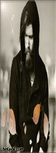 bntpal.com_151989522