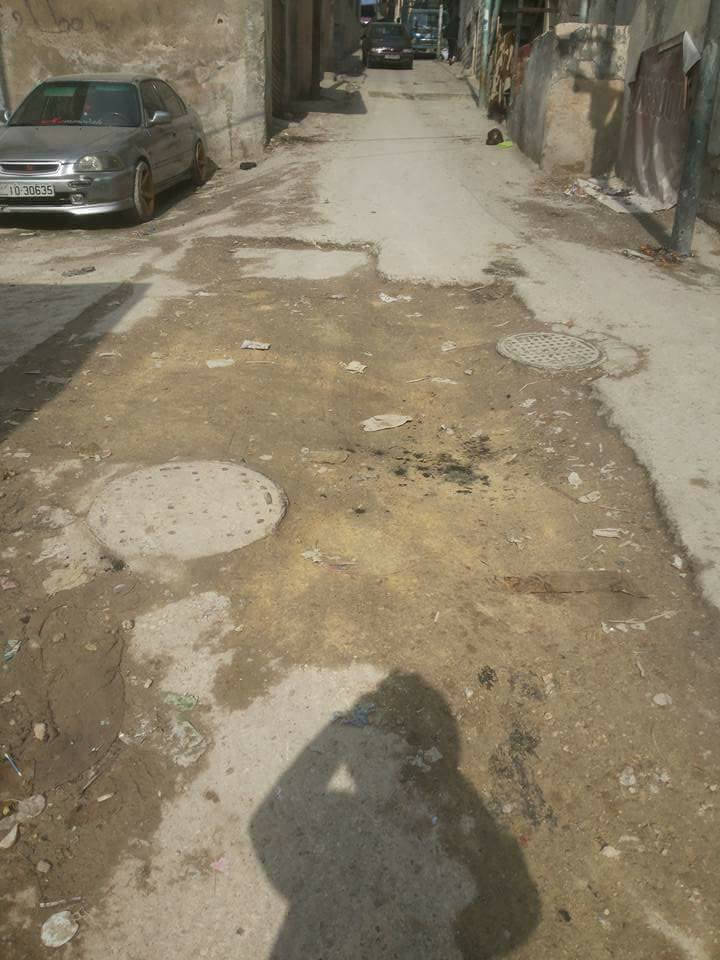 bntpal.com_152007852