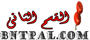 bntpal.com_152033496