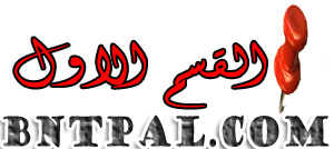 bntpal.com_152033496