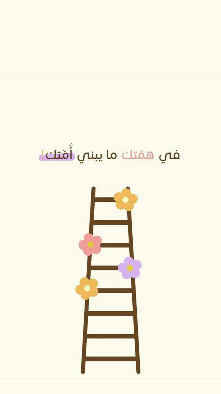 💙 bntpal.com_152043073