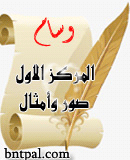 bntpal.com_152083381