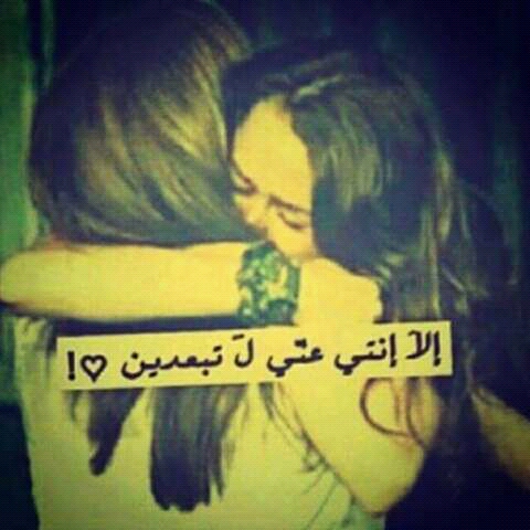 bntpal.com_152092850