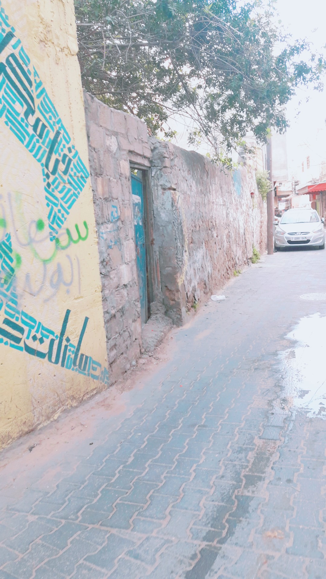 ���� ���� ������ �� ���� ������