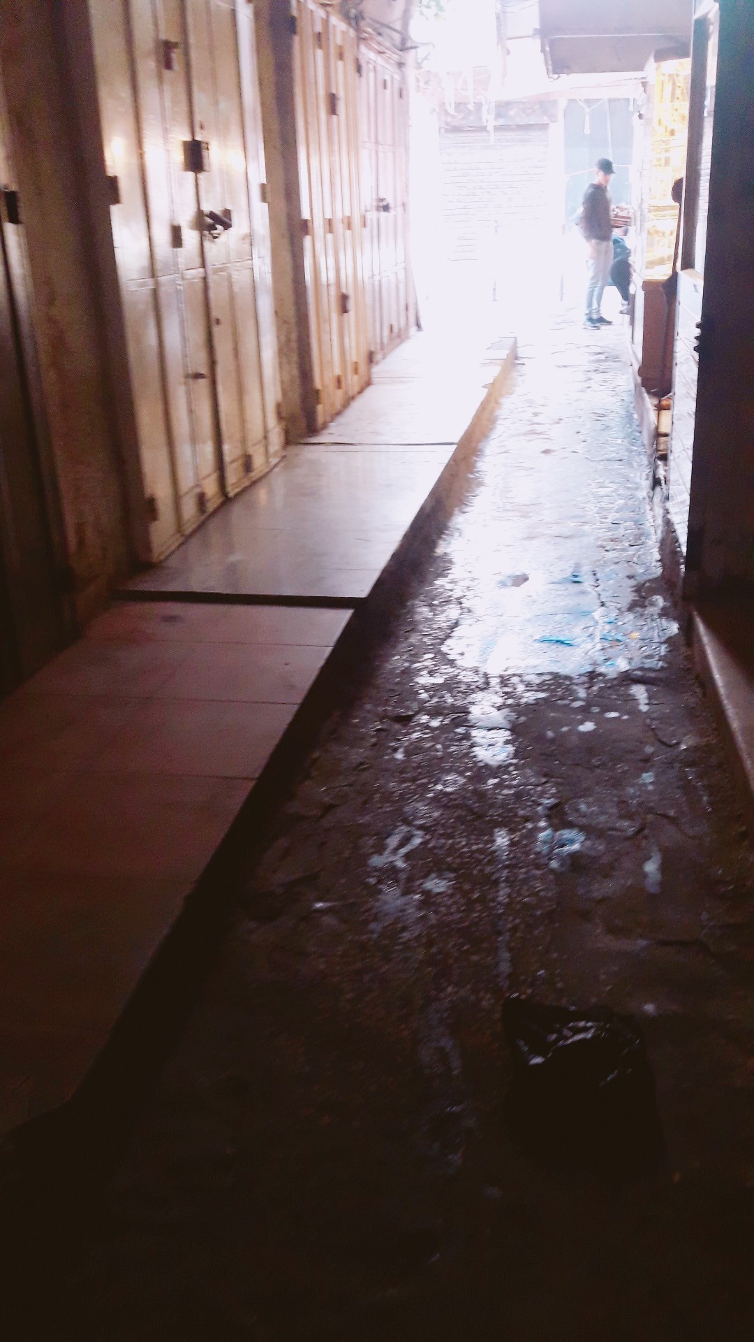 ���� ���� ������ �� ���� ������