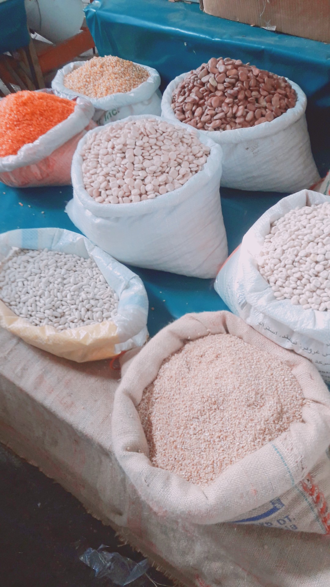 ���� ���� ������ �� ���� ������