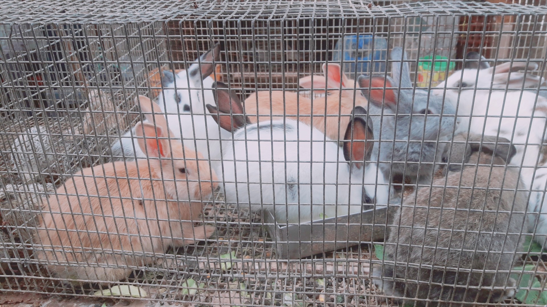 ���� ���� ������ �� ���� ������