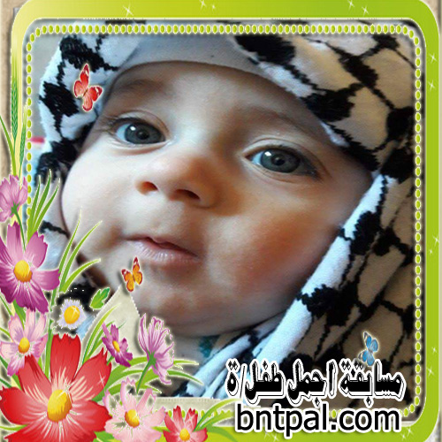 bntpal.com_152162539