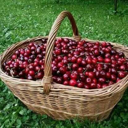 bntpal.com_152180030