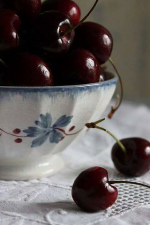 bntpal.com_152180030