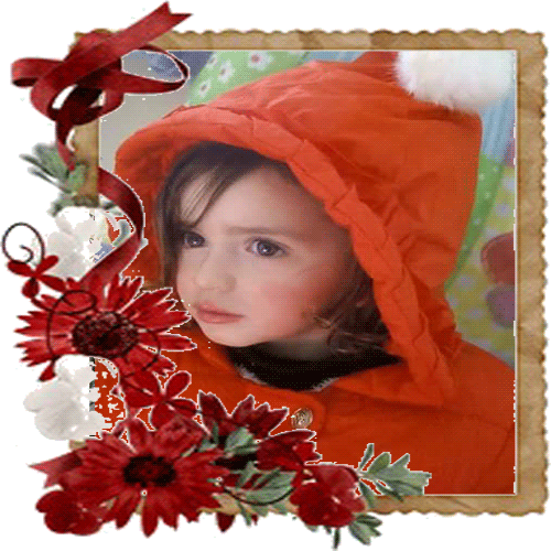 bntpal.com_152196208