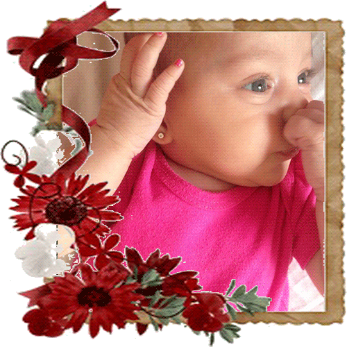 bntpal.com_152196208
