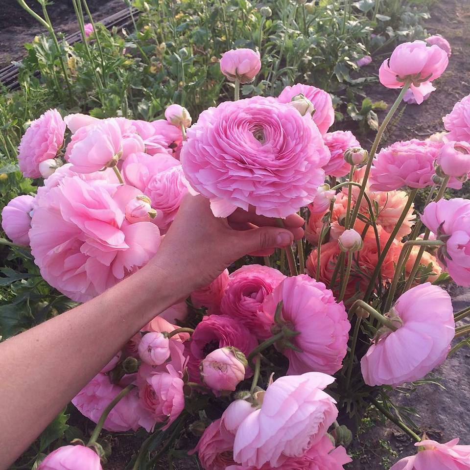 ♥ , bntpal.com_152206271