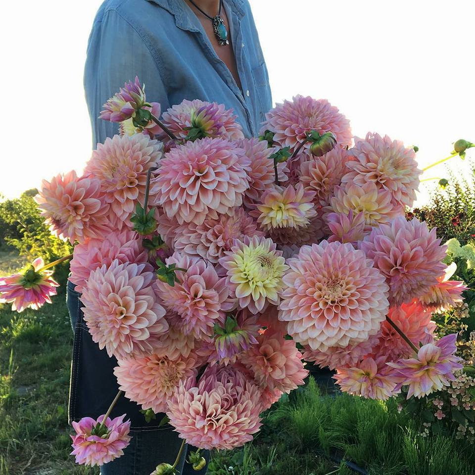 ♥ , bntpal.com_152206271