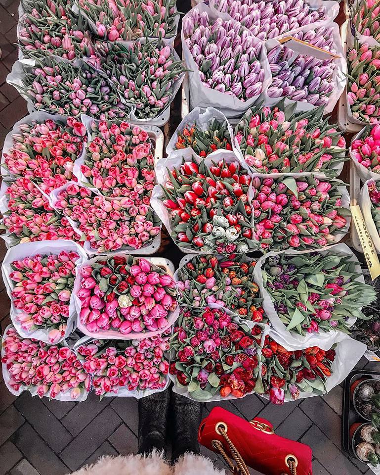 ♥ , bntpal.com_152206271