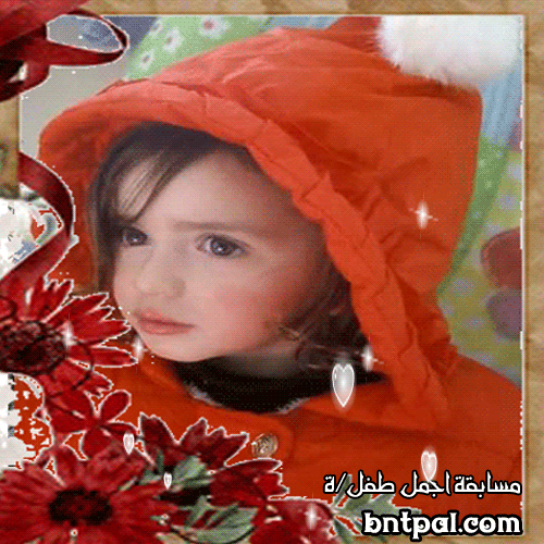 bntpal.com_152213265