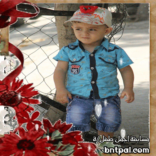 bntpal.com_152213265