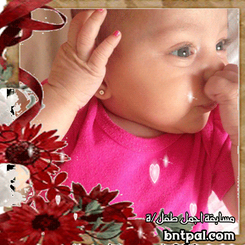 bntpal.com_152213265