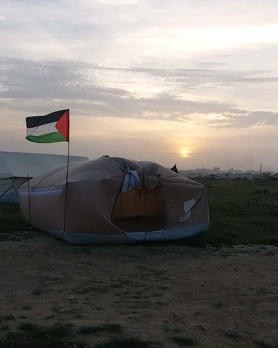  bntpal.com_152223016