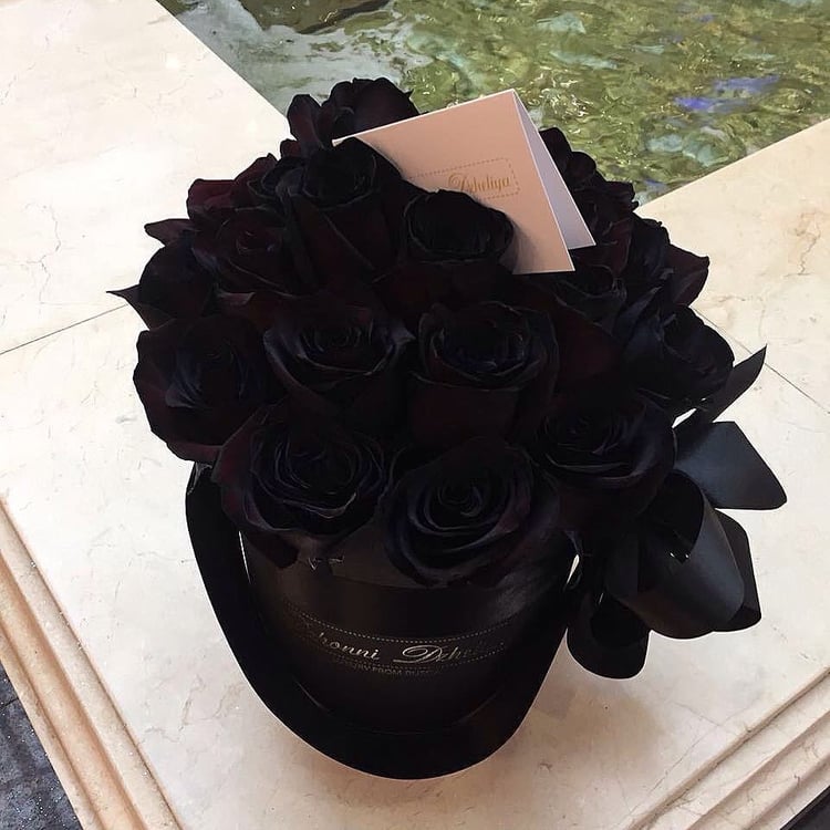 ���� ���� ������ �� ���� ������