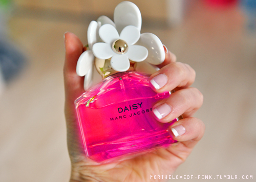 ���� ���� ������ �� ���� ������