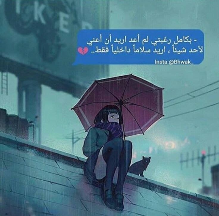 ���� ���� ������ �� ���� ������