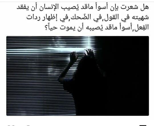 ���� ���� ������ �� ���� ������