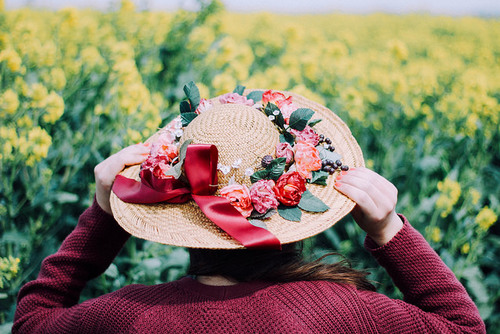 ���� ���� ������ �� ���� ������