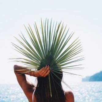 '♥ bntpal.com_152231563