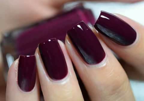 ♥ bntpal.com_152240965