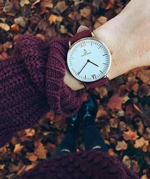 ♥ bntpal.com_152240965
