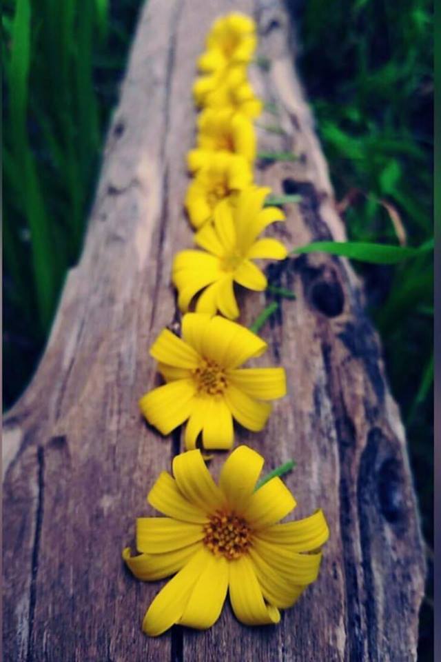  ♥ bntpal.com_152241054