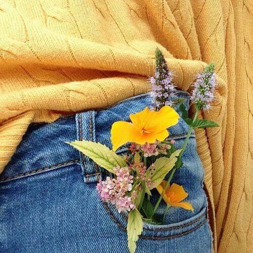  ♥ bntpal.com_152241054