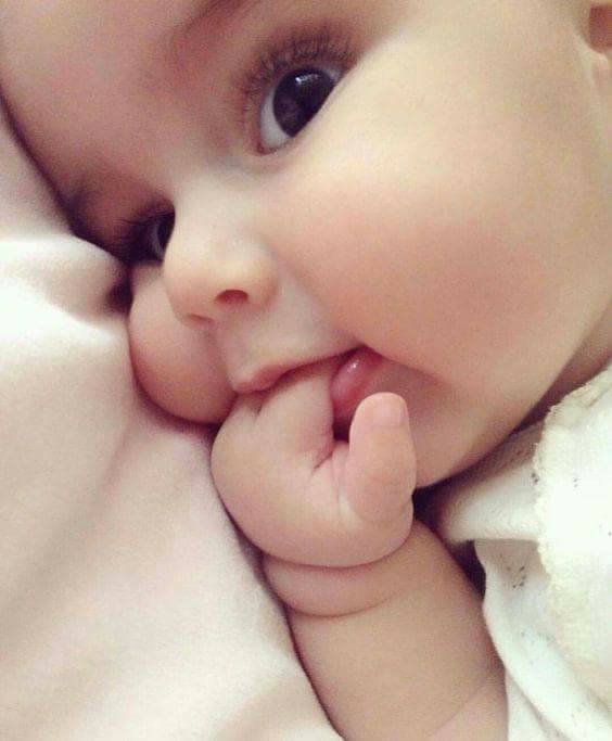 ♥ bntpal.com_152241072