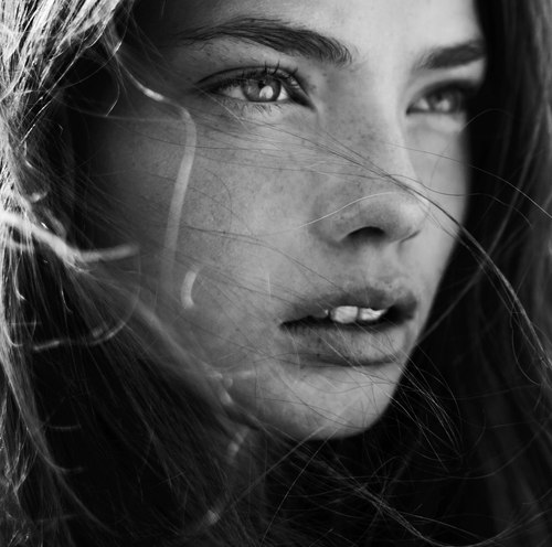 ���� ���� ������ �� ���� ������