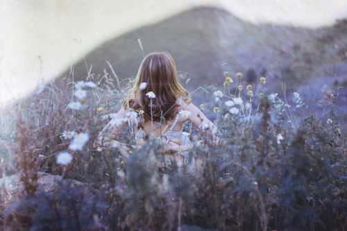 ���� ���� ������ �� ���� ������