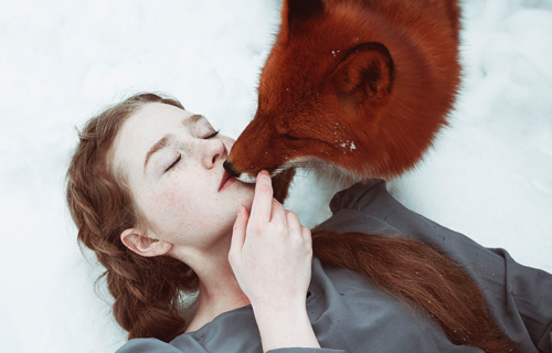 ���� ���� ������ �� ���� ������