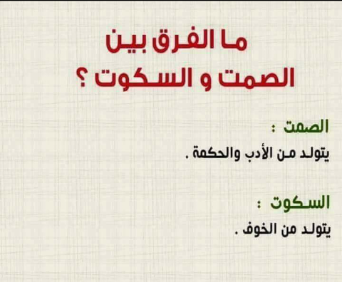 ~~~ bntpal.com_152251392