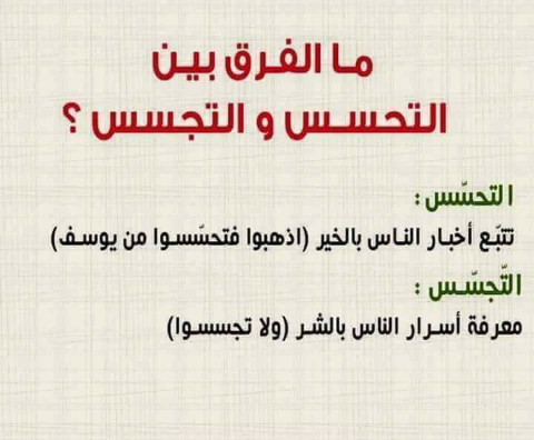 ~~~ bntpal.com_152251534