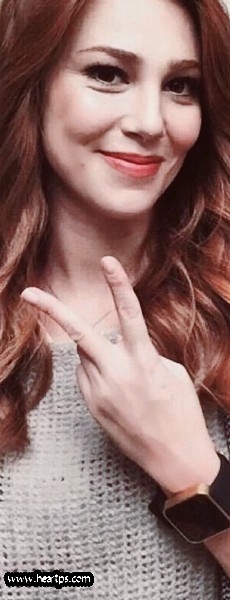 ���� ���� ������ �� ���� ������