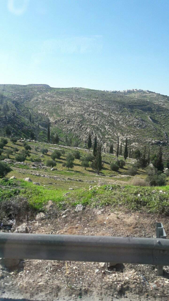  bntpal.com_152277828