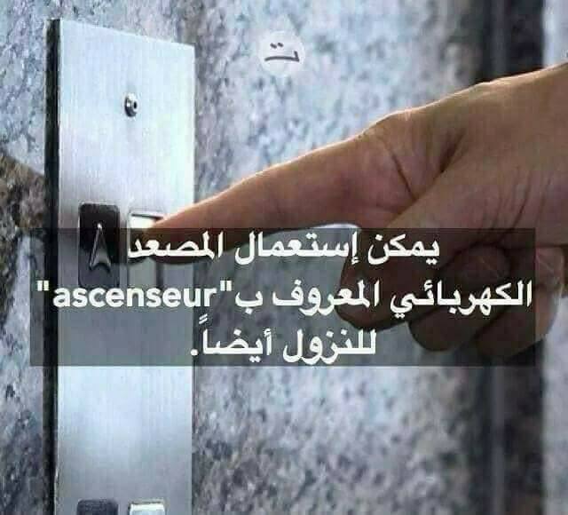 bntpal.com_152294762