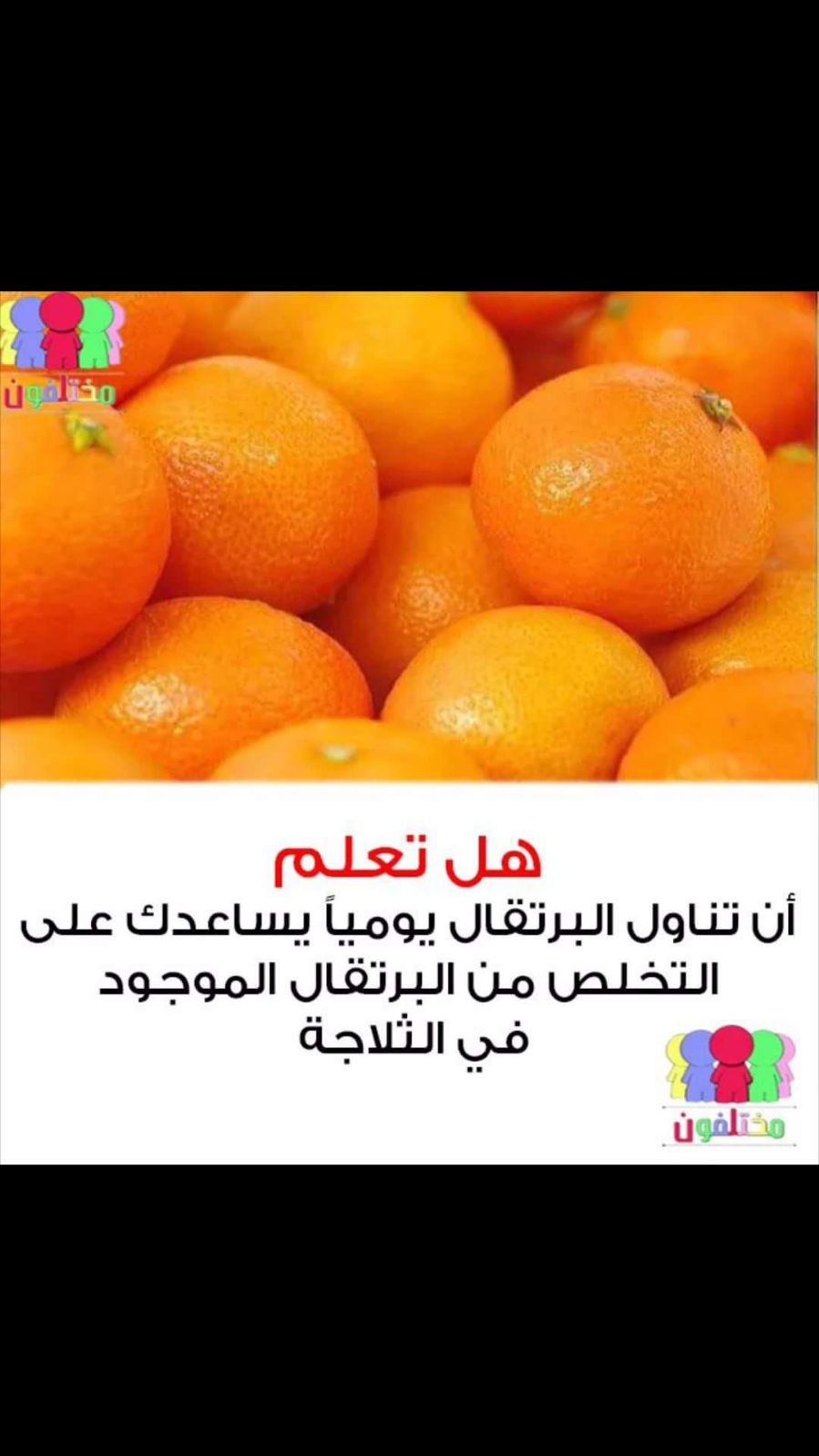 bntpal.com_152294788