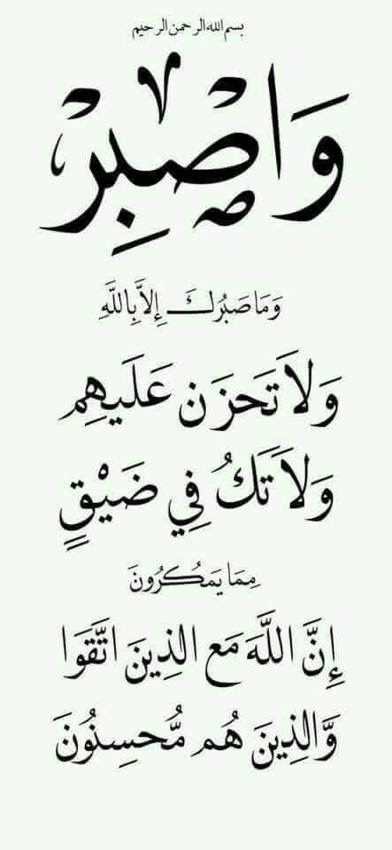 ❤ bntpal.com_152302734