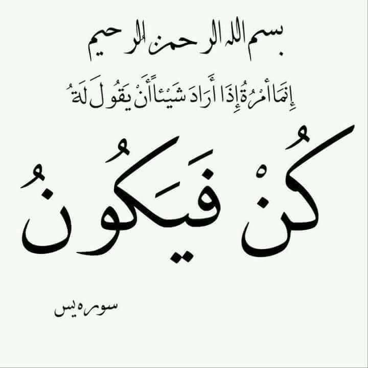 ❤ bntpal.com_152302734