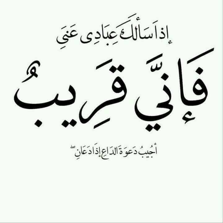 ❤ bntpal.com_152302734