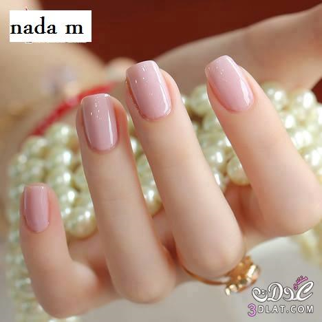 ..  bntpal.com_152329816