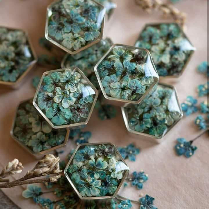  ♥ bntpal.com_152336645