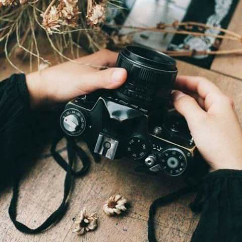  ♥ bntpal.com_152345625