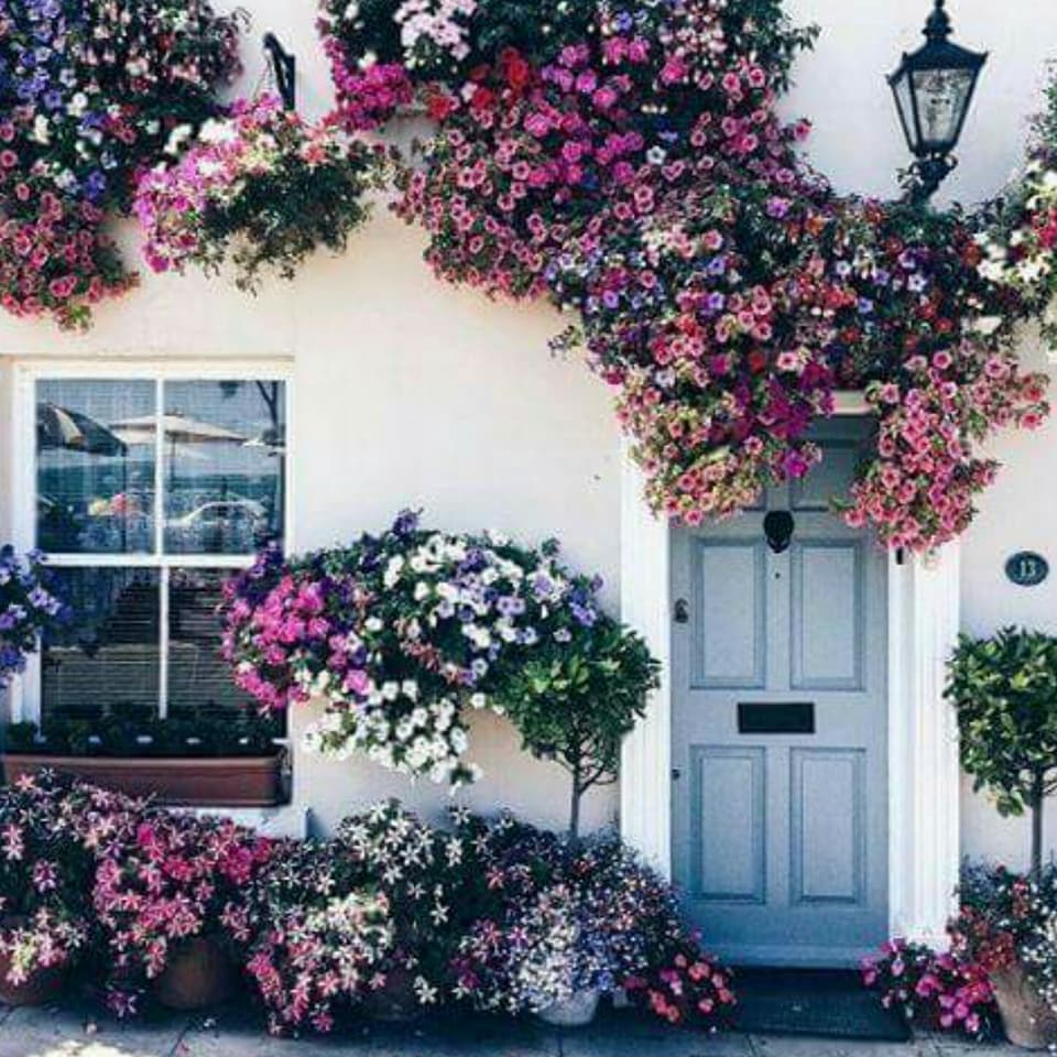  ♥ bntpal.com_152345668